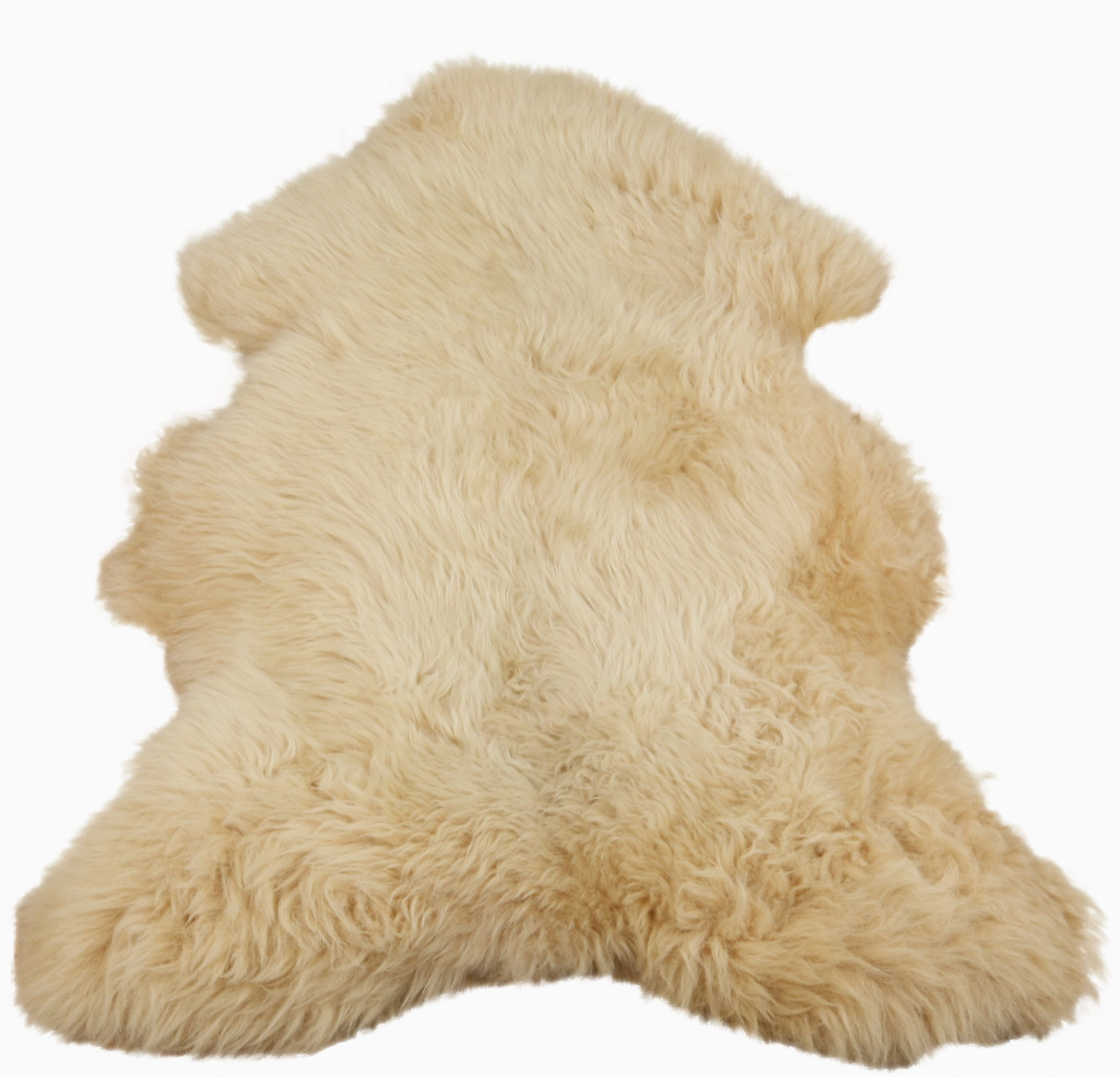 French Solognot Sheepskin